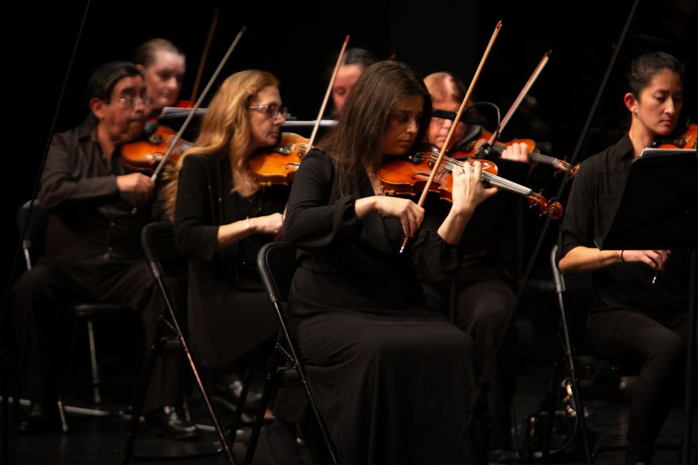 The violin section in performance